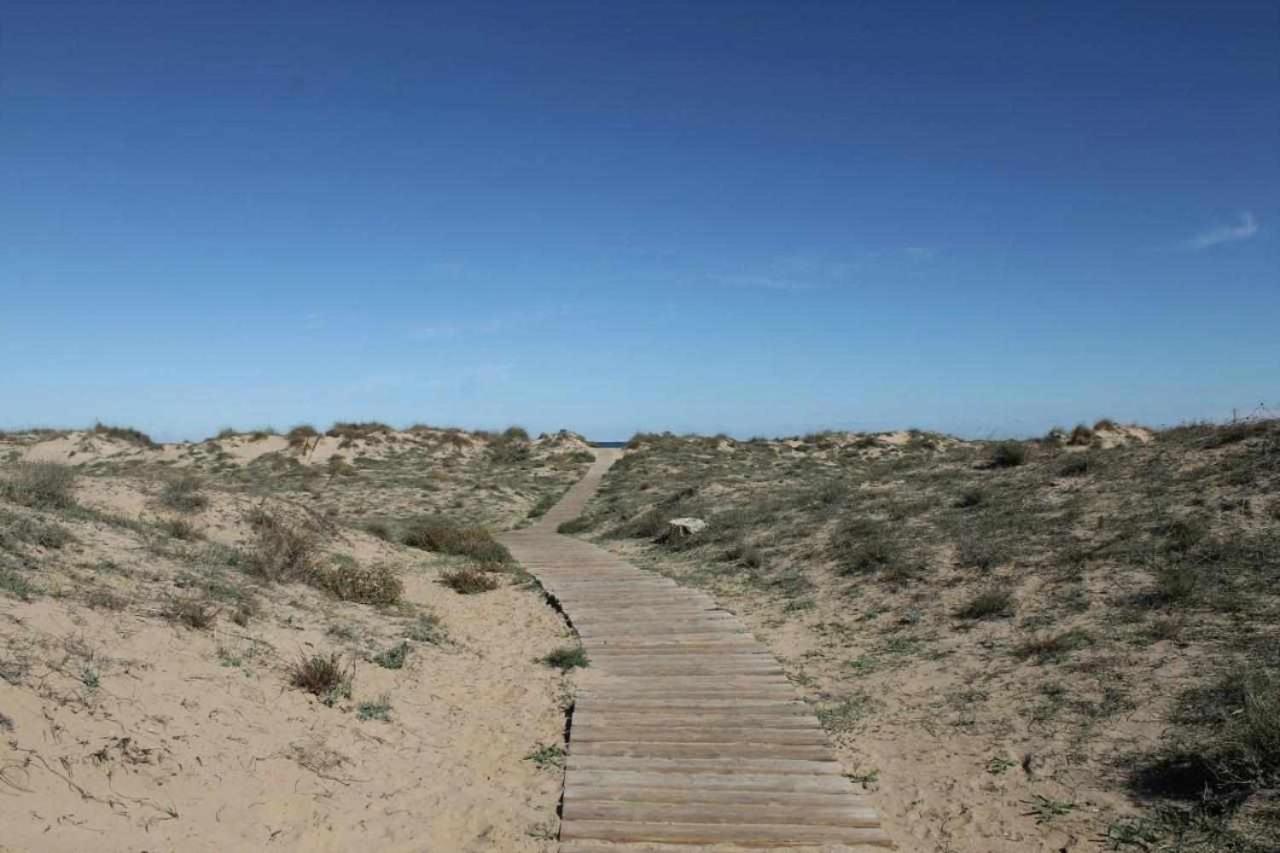 Apartamento De Lujo En La Playa Oliva Εξωτερικό φωτογραφία