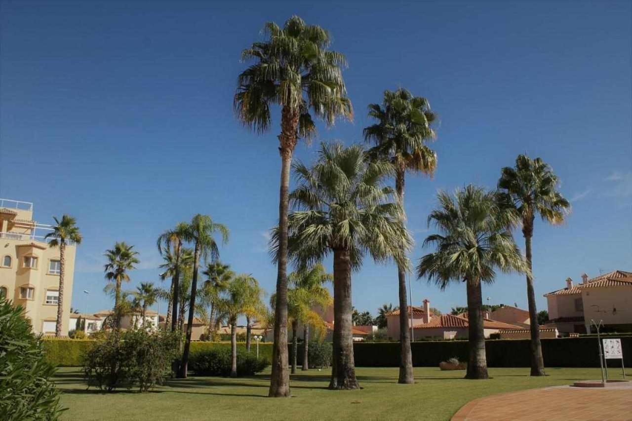 Apartamento De Lujo En La Playa Oliva Εξωτερικό φωτογραφία